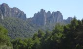 Tocht Mountainbike Bédoin - Tour des dentelles depuis Bédoin  VTT AE - Photo 1