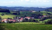 Tour Zu Fuß Abtsteinach - Rundwanderweg Steinachquelle 4: Götzenstein-Weg - Photo 3