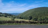 Excursión Marcha nórdica Les Salces - Boucle du Loup depuis les Salces - Photo 7