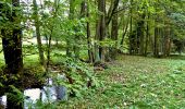 Randonnée A pied Cikháj - bývalá Naučná stezka Tisůvka - Žákova hora - Photo 10