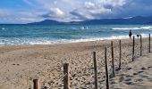 Trail Walking Argelès-sur-Mer - Boucle du Mas Larrieu - Photo 6