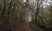 Randonnée Marche Doische - Balade de Soulme à Gochenée - Photo 4