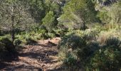 Trail Walking Casares - Casares boucle vautours  - Photo 3