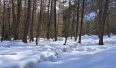 Tour Schneeschuhwandern Méolans-Revel - EMBRUN JOUR 5 : Valon du Lavercq - Photo 12