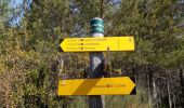 Trail Walking Serres - Rocher de Jardanne - Photo 2