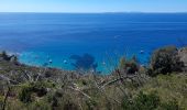 Trail Walking La Croix-Valmer - TOULON / CAVALAIRE SUR MER: CIRCUIT DE GIGARO - Photo 4