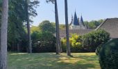 Excursión Senderismo Pouilly-sur-Loire - Pouilly sur loire 58:rando dans les Vignes  - Photo 2