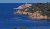 Tocht Stappen Cargèse - la Tour de cargese Corse - Photo 17