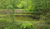 Randonnée Marche Oberlarg - Oberlarg - sa grotte - la ferme des Ebourbettes - le château de Morimont - Photo 4