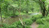 Randonnée Marche Amblève - La rivière d'or (9km) - Photo 9