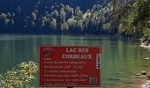 Trail Walking La Bresse - VOSGES 2023 - Jour 1 - Le Lac aux Corbeaux - Photo 16