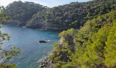 Tour Wandern Hyères - Presqu'ile de Giens - Photo 14