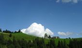 Tocht Te voet Sumiswald - Lüderenalp - Hohmattgäatterli - Photo 5