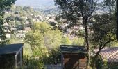 Tour Wandern Trans-en-Provence - TRANS-Le puits aérien et la passerelle hymalayenne -MBO - Photo 2