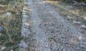 Trail On foot Grazalema - SALTO DEL CABRERO - Photo 10
