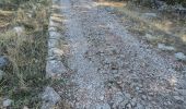 Percorso A piedi Benaocaz - LA CALZADA ROMANA - Photo 1