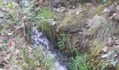 Trail Walking Céret - mon balcon de Céret - Photo 10