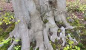 Randonnée Marche Esneux - entre Mery et bois Manant - Photo 11