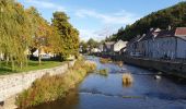 Tour Wandern Viroinval - De Nismes à Petigny par le Tienne du Lion - Photo 11