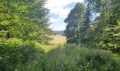 Tocht Stappen Saint-Martin-en-Vercors - Herbouilly corencon en Vercors  - Photo 3