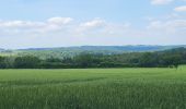 Tocht Stappen Durbuy - Bomal sur Ourthe 170625 - Photo 12