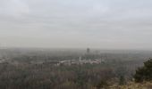 Trail Walking Maasmechelen - La balade des Terhills  - Photo 6