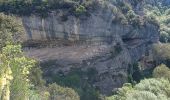 Randonnée Marche Buoux - APT,  Buous , circuit d Aigue Brun o l  - Photo 12
