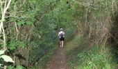 Tour Wandern Comblain-au-Pont - 20230815 - TOTEMUS Comblain-au-Pont - 6.8 Km - Photo 19