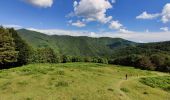 Trail On foot Cantagallo - Sentiero CAI 17 - Sez. Prato - Photo 8