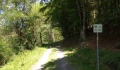 Trail On foot Naumburg - Naumburg - N9 - Photo 2