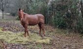 Trail Walking Cormeilles - cormeilles - Photo 2