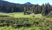 Percorso Marcia Saint-Agnan-en-Vercors - Grand Veymont - Photo 3