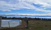 Trail Walking Corbonod - AIN: SUR LYAND - CRETES - CHARBEMENES - VALLON D'ARVIERES - GRANGE D'EN BAS - Photo 3