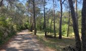 Trail Walking Rognes - Rognes virée dans les vignes sur le sentier des vignerons - Photo 7