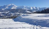 Tocht Sneeuwschoenen Demi-Quartier - Montée chalet de la Vielle-Beauregard-la Ravine. Descente Fouettaz - Photo 3