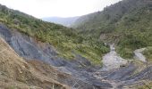 Trail On foot Unknown - Te Araroa - 06 Wellington - a Poads Road, Levin to Otaki Forks - Photo 2