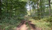 Trail Walking Orrouy - en Forêt de Compiègne_41_autour des Petits Monts - Photo 14