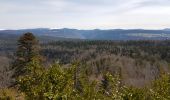 Trail Walking Oyonnax - sommet de Belmont-grotte de Lordon - Photo 1