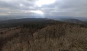 Trail Walking Kaltenborn - Hohe Acht - Photo 5