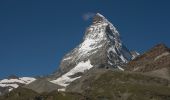 Percorso A piedi Zermatt - Matterhorn glacier trail - Photo 10