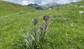 Tocht Stappen Opi - Anello val fondillo monte nicola valle fredda - Photo 2