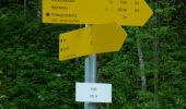 Percorso A piedi Kiefersfelden - Weg Nr. 5 - Höhenrundweg um den Scharzenberg - Oberaudorf/Hocheck - Photo 2