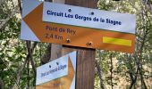 Percorso Marcia Montauroux - Gorges de la Siagne - Photo 2