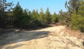 Excursión Senderismo Δήμος Αγλαντζιάς - athalassa/ chemins de traverses - Photo 10