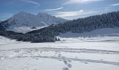 Trail Snowshoes Les Villards-sur-Thônes - Plateau de Beauregard - Photo 12