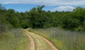 Trail  Puylaroque - Mazerac source lere belli y - Photo 1