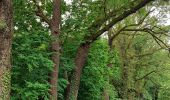 Tour Wandern Bergen - Lieu dit le Bois brûlé  - Photo 1