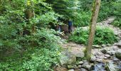 Trail Walking Le Tholy - cascades tendon - Photo 4