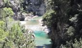 Tour Wandern La Palud-sur-Verdon - Chemin Martel  - Photo 19