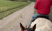 Trail Horseback riding Saint-Martin - Reprise Kaline Tivio  - Photo 1